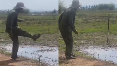 பாம்புடன் சண்டை போட்ட நபர் - இணையத்தில் வைரலாகும் வீடியோ!