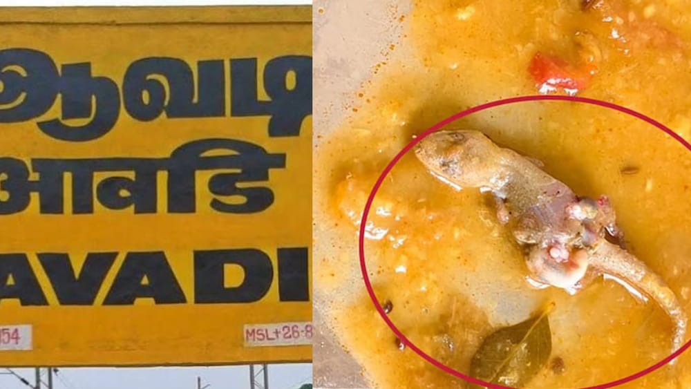தூய்மை பணியாளர்களுக்கு வழங்கப்பட்ட உணவில் பல்லி விழுந்த சம்பவம்..