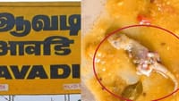 தூய்மை பணியாளர்களுக்கு வழங்கப்பட்ட உணவில் பல்லி விழுந்த சம்பவம்.....