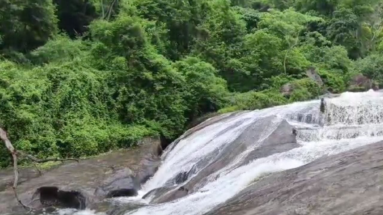 கோவை குற்றாலத்தில் வெள்ளப்பெருக்கு – சுற்றுலாப் பயணிகளுக்கு தடை! கோவை குற்றாலத்தில் வெள்ளப்பெருக்கு – சுற்றுலாப் பயணிகளுக்கு தடை!