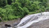 கோவை குற்றாலத்தில் வெள்ளப்பெருக்கு – சுற்றுலாப் பயணிகளுக்கு தடை!...