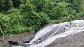கோவை குற்றாலத்தில் வெள்ளப்பெருக்கு – சுற்றுலாப் பயணிகளுக்கு தடை!...