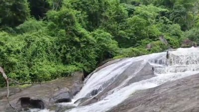 கோவை குற்றாலத்தில் வெள்ளப்பெருக்கு – சுற்றுலாப் பயணிகளுக்கு தடை!