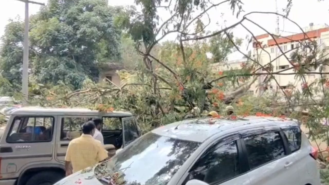 கோவை ஆட்சியர் அலுவலக வளாகத்தில் மரம் சாய்ந்து வாகனங்கள் சேதம் கோவை ஆட்சியர் அலுவலக வளாகத்தில் மரம் சாய்ந்து வாகனங்கள் சேதம்