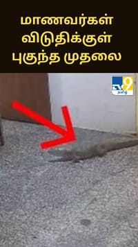 மாணவர்கள் விடுதிக்குள் புகுந்த முதலை.. திடுக் சம்பவம்!!...