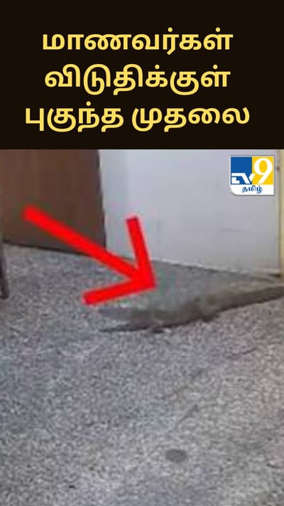 மாணவர்கள் விடுதிக்குள் புகுந்த முதலை.. திடுக் சம்பவம்!!