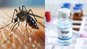 Dengue Vaccine: முதல் முறையாக இந்தியாவில் டெங்கு தடுப்பூசிக்கு ஒப்புதல்.. யாரெல்லாம் இதனை செலுத்திக்கொள்ளலாம்? இது எப்படி செயல்படும்?...