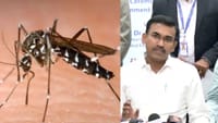 தமிழ்நாட்டில் 9000 பேர் வரை டெங்கு பாதிப்பு - அமைச்சர் எச்சரிக்கை...