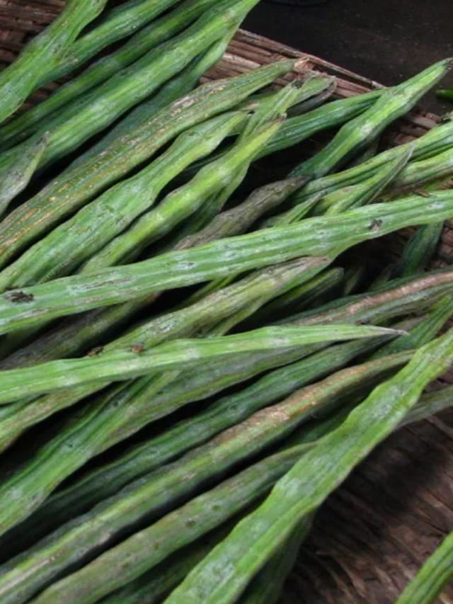 முருங்கைக்காயை இப்படிச் சமைத்தால்தான் முழு சத்தும் கிடைக்கும்...