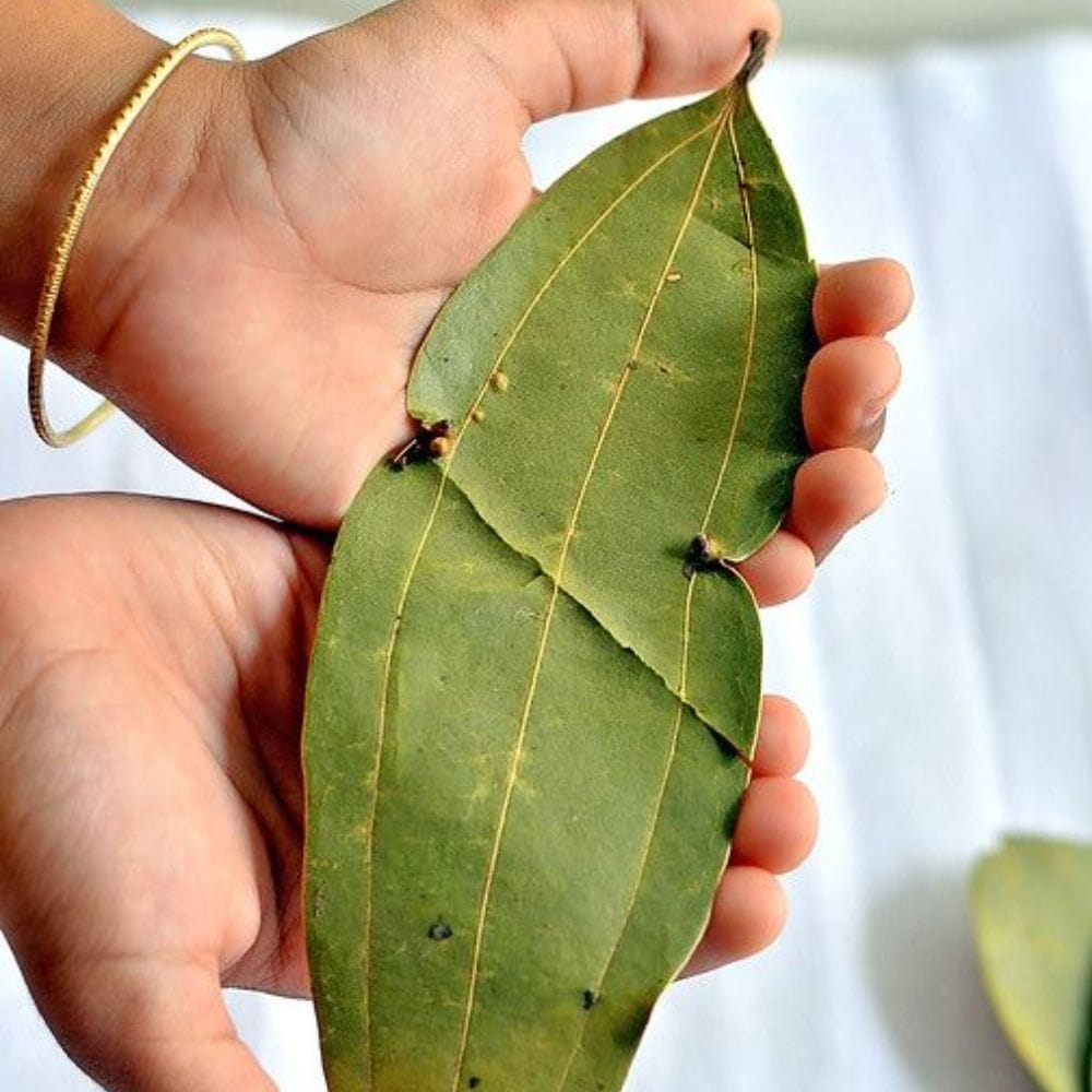 பிரியாணி இலையில் யூகலிப்டால் போன்ற நறுமணமிக்க அத்தியாவசிய எண்ணெய்களும் நுண்ணுயிர் எதிர்ப்பு அம்சங்களும் நிறைந்துள்ளன. எனவே வினிகருடன் பிரியாணி இலையைச் சேர்த்துப் பயன்படுத்தும்போது சமையலறைக்கு ஒரு இனிமையான மூலிகை நறுமணம் கிடைக்கிறது.
இருப்பினும் வினிகரில் அமிலம் உள்ளதால் மார்பிள், கிரானைட் மற்றும் எலக்ட்ரானிக் பொருட்கள் மீது நேரடியாகப் பயன்படுத்தக் கூடாது.