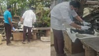 கோவையில் கொத்துக் கொத்தாக ஆடுகள், மாடுகள் பலி!!...