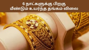 Gold Price : 6 நாட்களுக்கு பிறகு மீண்டும் உயர்ந்த தங்கம் விலை.. இன்றைய நிலவரம் என்ன? Gold Price : 6 நாட்களுக்கு பிறகு மீண்டும் உயர்ந்த தங்கம் விலை.. இன்றைய நிலவரம் என்ன?