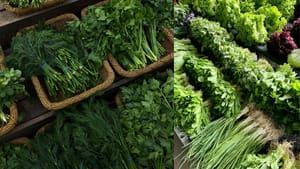 இனி பார்லரே வேண்டாம்! முகப்பொலிவை அள்ளித் தரும் அற்புதக் கீரைகள்! இனி பார்லரே வேண்டாம்! முகப்பொலிவை அள்ளித் தரும் அற்புதக் கீரைகள்!