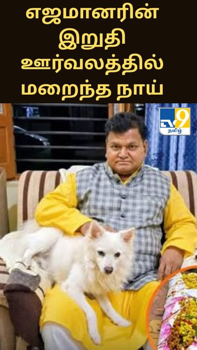எஜமானரின் இறுதி ஊர்வலத்தில் உயிரைவிட்ட வளர்ப்பு நாய்: மத்திய பிரதேசத்தில் நெகிழ்ச்சிச் சம்பவம்!