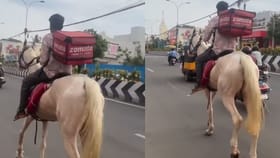 நோ பெட்ரோல்.. நோ டிராஃபிக்.. சென்னையில் வெள்ளை குதிரையில் சொமேட்டோ ஊழியர் உணவு டெலிவரி..!...