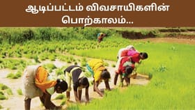 ஆடிப் பட்டம்: விவசாயிகளின் நம்பிக்கையை விதைக்கும் பொற்காலம்...