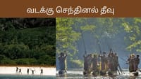 நெருங்கினால் பாயும் அம்பு! பூட்டு போட்ட செந்தினல் தீவின் மர்மம்!...