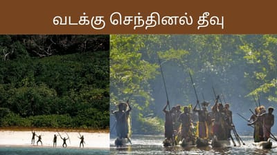 நெருங்கினால் பாயும் அம்பு! பூட்டு போட்ட செந்தினல் தீவின் மர்மம்!