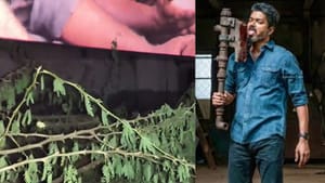 கடும் அதிர்ச்சியில் விஜய் ரசிகர்கள்.. “புதுகோட்டை தியேட்டரில் திரைக்கு முள்வேலி” என்ன காரணம்! கடும் அதிர்ச்சியில் விஜய் ரசிகர்கள்.. “புதுகோட்டை தியேட்டரில் திரைக்கு முள்வேலி” என்ன காரணம்!