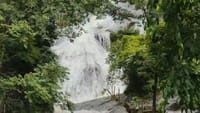கோவை குற்றாலத்தில் வெள்ளப்பெருக்கு - சுற்றுலா தற்காலிகமாக மூடல்!...
