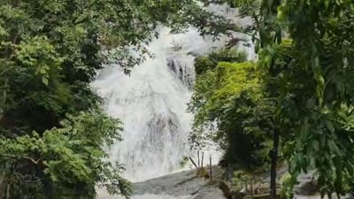 கோவை குற்றாலத்தில் வெள்ளப்பெருக்கு - சுற்றுலா தற்காலிகமாக மூடல்!
