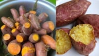 உண்மையான சர்க்கரை வள்ளிக்கிழங்கு எது? போலி எது?...