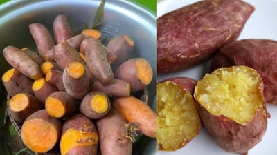 உண்மையான சர்க்கரை வள்ளிக்கிழங்கு எது? போலி எது?
