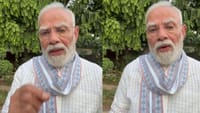வினாத்தாள் கசிவு விவகாரம் - சிறப்பு குழுவை அறிவித்த பிரதமர் மோடி...