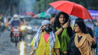 மேற்கு தொடர்ச்சி மலை மாவட்டங்களில் தொடரும் மழை.....