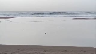 திடீரென உள்ளே வாங்கிய பட்டினம்பாக்கம் கடற்கரை.. பரபரப்பு!