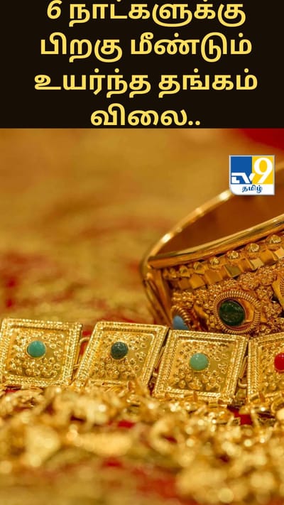 6 நாட்களுக்கு பிறகு மீண்டும் உயர்ந்த தங்கம் விலை.. இன்றைய நிலவரம் என்ன?