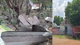 சீமைக் கருவை மரங்களுக்குள் 800 ஆண்டுகள் பழமையான பாண்டியர் காலக் கல்வெட்டு கண்டெடுப்பு.. விருதுநகரில் பரபரப்பு!...