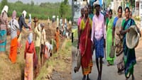 தமிழகத்தில் 125 நாள் வேலை உறுதி திட்டம் இன்று முதல் அமல்!!...