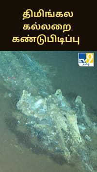 மிக ஆழமான இடத்தில் திமிங்கல கல்லறை கண்டுபிடிப்பு - ஆய்வாளர்கள் அதிர்ச்சி...