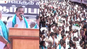 முழு பயிர்க்கடன் தள்ளுபடி கோரி அதிமுக ஆர்ப்பாட்டம்.. தஞ்சாவூரில் ஆவேசமாக வெடித்த இபிஎஸ்!! முழு பயிர்க்கடன் தள்ளுபடி கோரி அதிமுக ஆர்ப்பாட்டம்.. தஞ்சாவூரில் ஆவேசமாக வெடித்த இபிஎஸ்!!