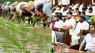 தமிழக வேளாண் பட்ஜெட் இன்று தாக்கல்... எதிர்பார்ப்பு என்ன?