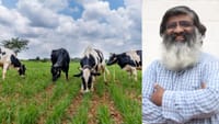 ஐடி வேலையை உதறிவிட்டு விவசாயத்தில் இறங்கிய நபர்!...