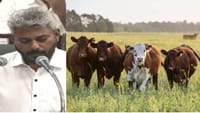 கால்நடை காப்போம் திட்டத்தில் அமைச்சர் சூப்பர் அறிவிப்பு!...
