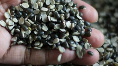 தினமும் உளுந்து சாப்பிட்டால் இத்தனை நன்மைகளா?