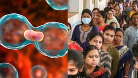 ஆண்டுதோறும் அதிகரிக்கும் புற்றுநோய் பாதிப்பு – தமிழகத்தில் அதிர்ச்சி தகவல்...