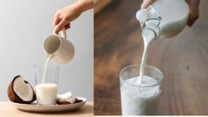 வீட்டிலேயே நாவில் எச்சில் ஊறும் சுவையான தேங்காய்ப் பால் சட்னி