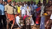 மழை வேண்டி கழுதைக்கும் கழுதைக்கும் திருமணம்!...