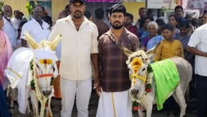 வருண பகவானே இறங்கி வா.. இரு கழுதைகளுக்கு மேள தாளத்துடன் திருமணம்.. வேலூரில் வினோத வழிபாடு! வருண பகவானே இறங்கி வா.. இரு கழுதைகளுக்கு மேள தாளத்துடன் திருமணம்.. வேலூரில் வினோத வழிபாடு!