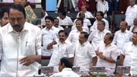 சட்டப்பேரவையில் இபிஎஸ் - செங்கோட்டையன் காரசார விவாதம்!...