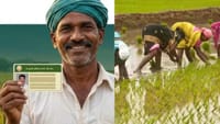 விவசாயிக்கு தனித்துவ எண்ணால் கிடைக்கும் பயன்கள்:அதிகாரி விளக்கம்!...
