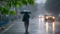 நாளை இந்த மாவட்டங்களில் மழைக்கு வாய்ப்பு: வானிலை மையம் தகவல்...