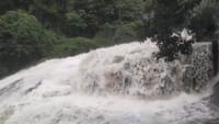 கனமழையால் கோவை குற்றாலம் அருவியில் வெள்ளப்பெருக்கு.....