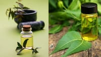 தினமும் வேப்பிலை தண்ணீர் குடித்தால் என்ன நடக்கும்?...