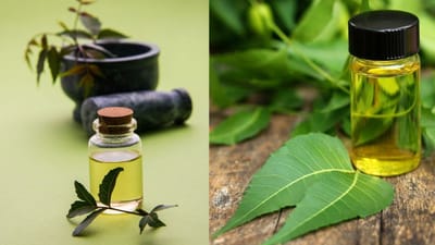 தினமும் வேப்பிலை தண்ணீர் குடித்தால் என்ன நடக்கும்?