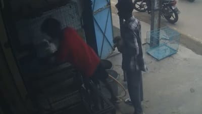 கோவையில் செல்ல பிராணிகள் விற்பனை கடையில் நாய்-பூனை திருட்டு!